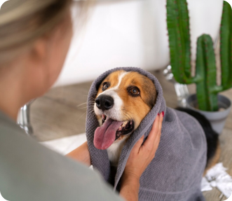 gallery image_ Pet Bathing Services