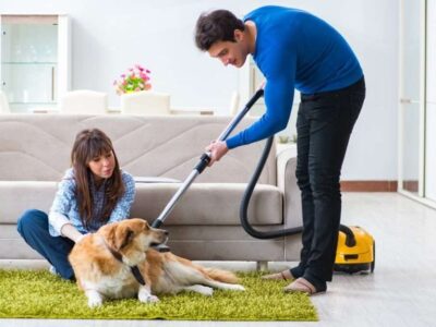 flowbee grooming tips